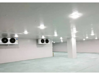 廣東完美400㎡日用品恒溫庫(kù)、冷藏庫(kù)（防爆冷庫(kù)）工程建造方案
