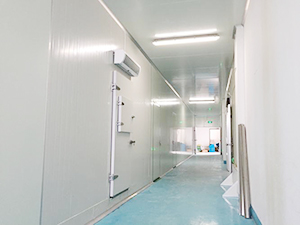 醫(yī)藥冷庫(kù)穿堂圖片