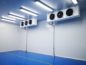 藥品冷庫(kù)建造工程圖片