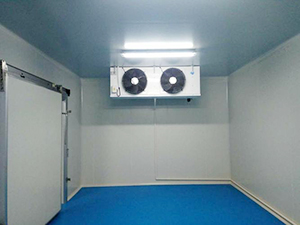 醫(yī)藥冷庫(kù)工程內(nèi)部圖片