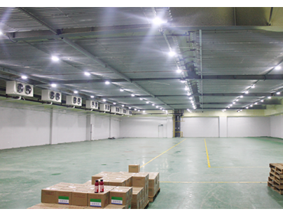 上海冰度倉(cāng)儲(chǔ)松江區(qū)12000平米高低溫冷庫(kù)出租案例