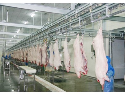 四川18000立方米屠宰場加工冷庫規(guī)劃工程項目