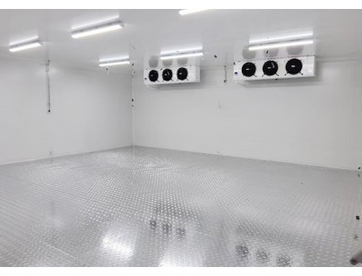 上海優(yōu)寧維集團生物醫(yī)藥冷藏、冷凍庫工程案例