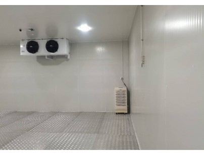 上海優(yōu)寧維集團生物醫(yī)藥冷藏、冷凍庫工程案例