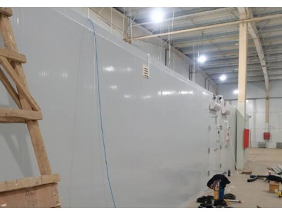 上海優(yōu)寧維集團生物醫(yī)藥冷藏、冷凍庫工程案例