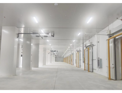 武漢長(zhǎng)發(fā)永來冷鏈物流現(xiàn)代化高標(biāo)變溫冷庫規(guī)劃設(shè)計(jì)建造項(xiàng)目