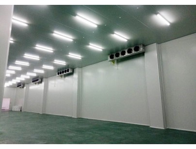 申聯生物10000m3醫(yī)藥冷庫（獸藥冷藏庫）工程案例