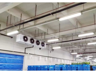 江蘇味門11686立方0-5℃香料調(diào)味料冷庫(kù)（低溫冷藏庫(kù)）建造方案