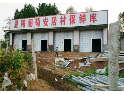 巴中恩陽區(qū)何家壩種植合作社200噸葡萄氣調保鮮庫工程建造方案