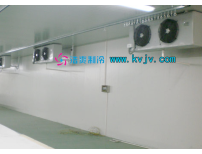 雅瑪多1600m3大型物流冷凍庫(kù)（低溫冷藏庫(kù)）工程建造方案