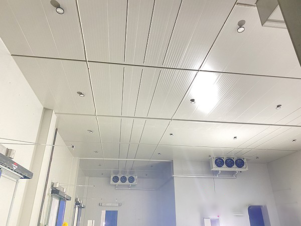 大型冷庫建造工程設(shè)計(jì)方案