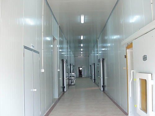 大型冷庫建設(shè)成本需要多少錢一平米?