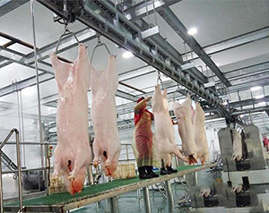 屠宰場生產(chǎn)冷庫預冷間溫度要求是多少？