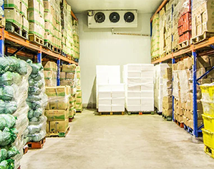 5000噸的果蔬保鮮庫的占地面積以及冷庫投入資金？