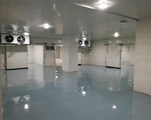 血制品公司建造80立方-25~-30℃血漿冷庫的方案報(bào)價(jià)？