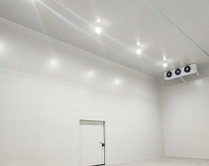 2000噸冷庫應(yīng)該建多大？造價成本投資多少錢？