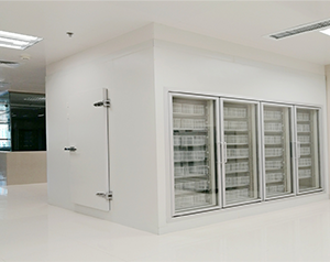 安裝一個(gè)滿足認(rèn)證標(biāo)準(zhǔn)的醫(yī)藥血清樣品冷凍庫需要多錢？