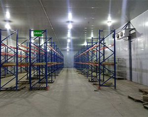 生物公司建造200平2-8℃醫(yī)藥冷庫建造費用？