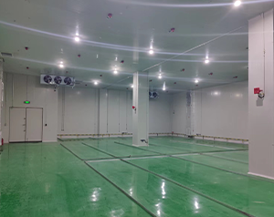 化工企業(yè)內(nèi)建造一個(gè)100平防爆冷庫(kù)的設(shè)計(jì)安裝費(fèi)用?