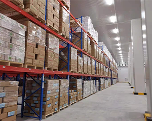 產業(yè)規(guī)劃園區(qū)內建造16000平米的物流冷庫整體方案報價？