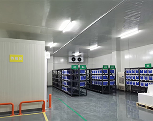 后補(bǔ)式小型醫(yī)藥冷庫的設(shè)計和安裝有哪些特點?