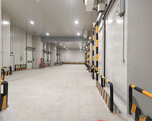 上海建5000噸蘋果保鮮冷藏庫造價預(yù)算是多少？