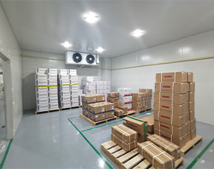 gsp醫(yī)藥冷庫(疫苗冷庫)建造多大面積合適