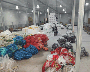 設(shè)計安裝農(nóng)業(yè)冷鏈生態(tài)冷庫造價大概需要投資多少錢？