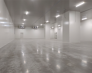 高效血漿蛋白冷庫建造指南:關(guān)鍵要點解析