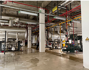 現(xiàn)代自動化冷庫設計方案