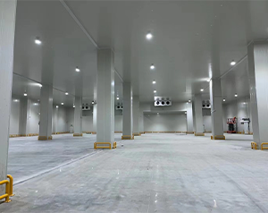 你知道未來(lái)哪種冷庫(kù)更有市場(chǎng)潛力，有“錢(qián)”景？