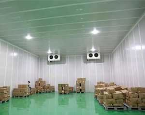 農產(chǎn)品物流冷庫，電商低溫倉儲冷庫建造及運營成本預算