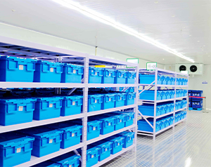 血液需要用冷庫保存嗎(血漿冷庫)?