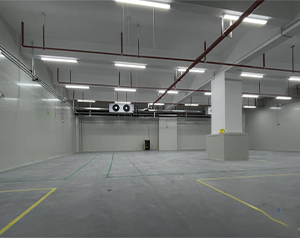 建200噸氣調(diào)庫多少錢？存放葡萄、獼猴桃