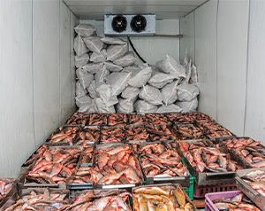 舌尖上的漁業(yè)制冷-海鮮、魚類冷庫