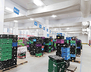 100噸冷庫造價(jià)大概多少錢?