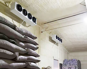 種子冷庫(kù)建造，種子冷庫(kù)溫度要求