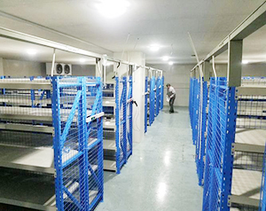 陰涼庫(kù)設(shè)計(jì)布局