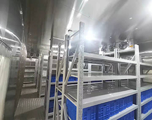 超低溫冷庫制作廠家_提供可靠、高效的冷藏解決方案