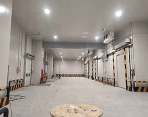 保鮮食品冷庫(kù)定制標(biāo)準(zhǔn)是什么?