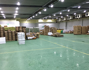 冷庫和廠房可以合建嗎?