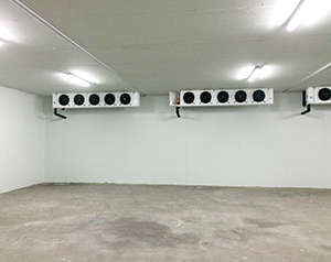 水產(chǎn)冷庫造價標準多少錢？水產(chǎn)海鮮冷庫定制安裝方案