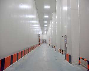 建造農(nóng)產(chǎn)品粗加工車間冷庫(kù)投資成本大概多少錢(qián)