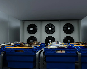 江西800立方生鮮冷庫造價(jià)預(yù)估多少？