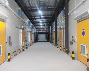 醫(yī)用冷庫自動化系統(tǒng)設(shè)計(jì)規(guī)范標(biāo)準(zhǔn)