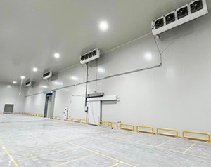 大型冷庫(kù)建造設(shè)計(jì)哪家好