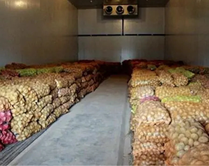 安徽小型食品冷庫造價多少錢一噸?