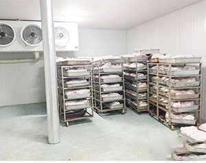 屠宰場冷鏈物流設(shè)施項(xiàng)目實(shí)施方案