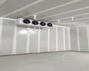 新疆葡萄氣調(diào)保鮮冷庫型號如何選擇？