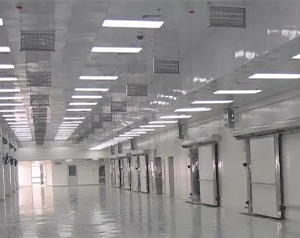 海南5000立方蔬菜物流冷庫造價(jià)多少錢?